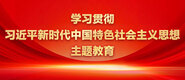 啊啊啊射啊啊疼视频电影学习贯彻习近平新时代中国特色社会主义思想主题教育_fororder_ad-371X160(2)